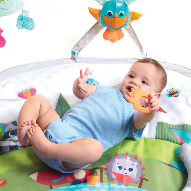 Развивающий интерактивный коврик TINY LOVE  