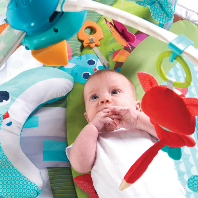 Развивающий интерактивный коврик TINY LOVE  